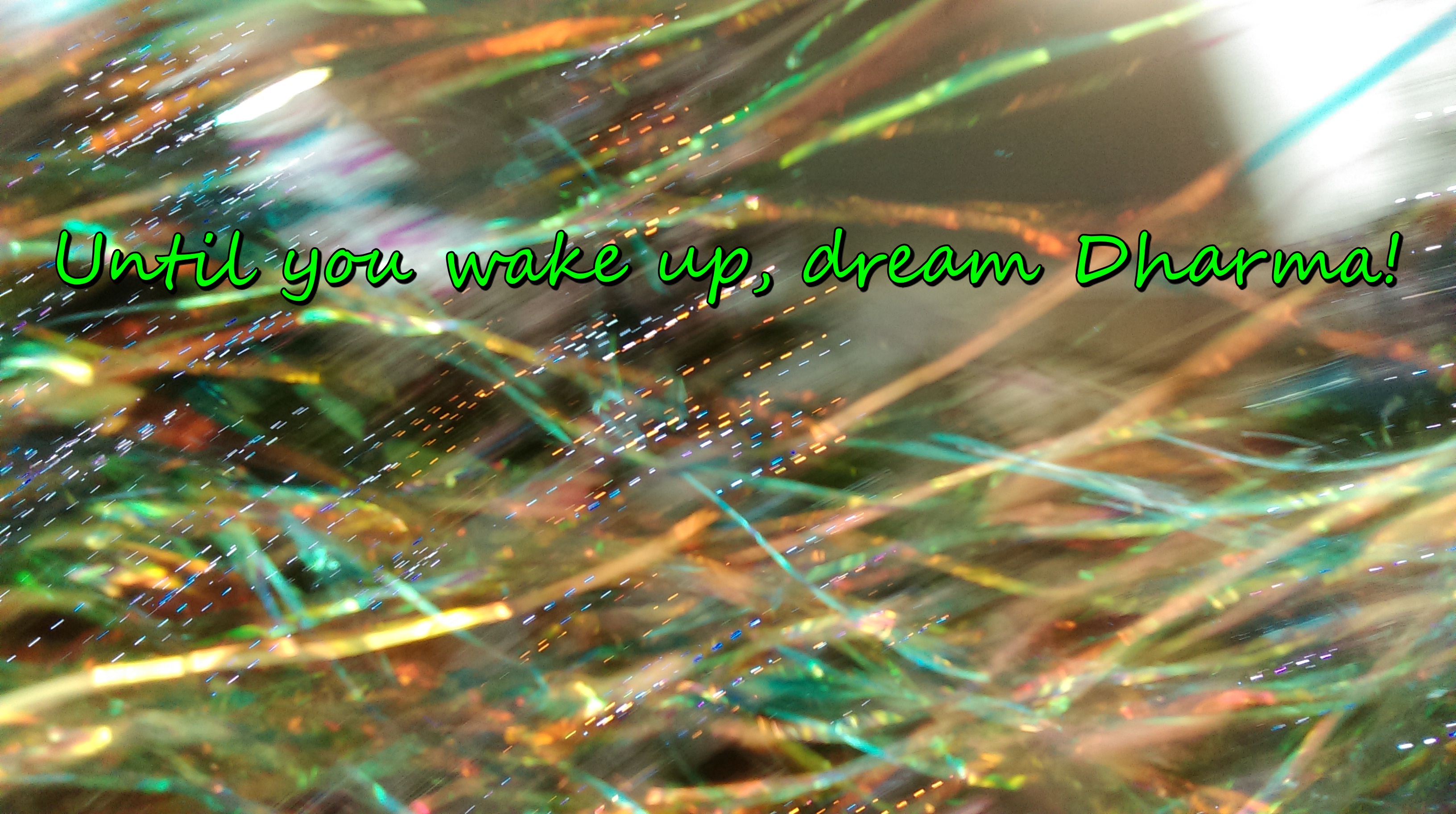 until you wake up, dream Dharma!