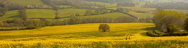 pieces of five image by 5