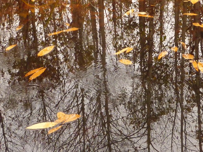 reflection on grief from Buddhist view