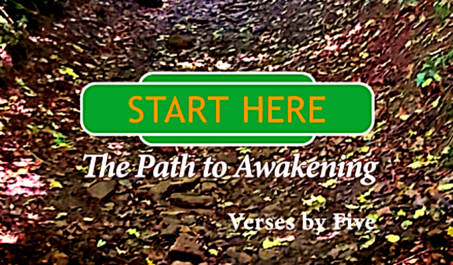 Five's Dharma verse only £12