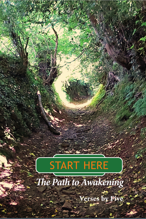 START HERE by Five Cram £12
