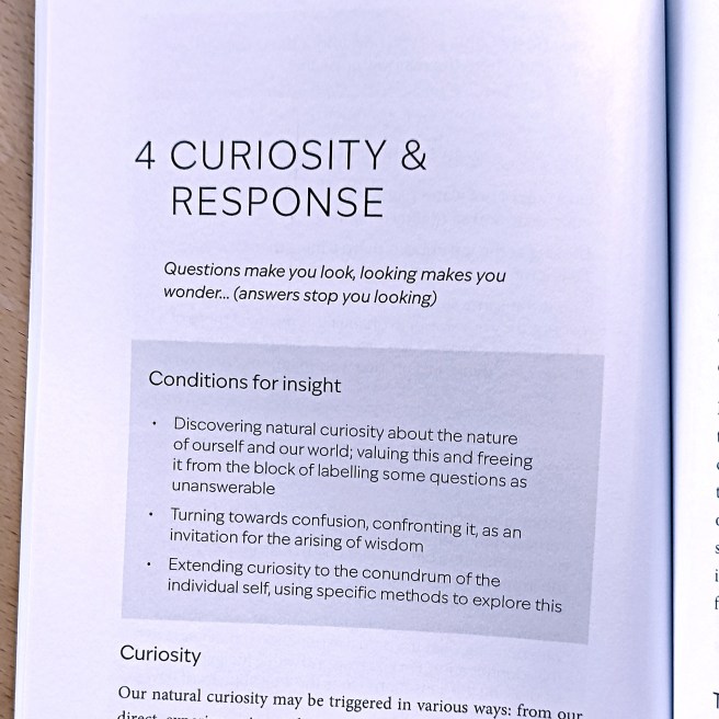 What brings insight?